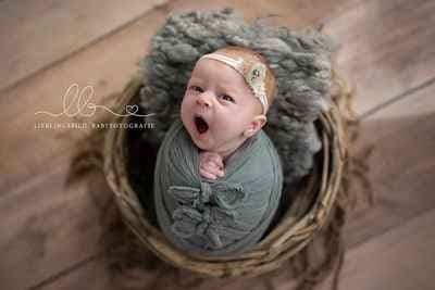 Lieblingsbild Fotografie