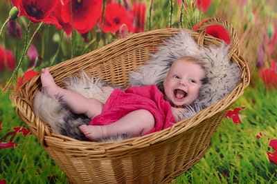 der baby fotograf at