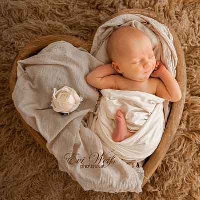 photista.at - Evi Weiß, Babyfotograf