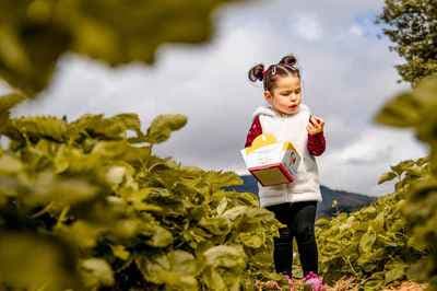 Phoenix Studio Villach