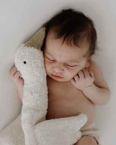 Suzana Gajschek Fotografie