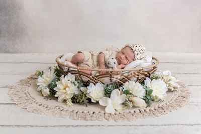 LencA Fotografie, Andrea Lenc