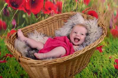 der baby fotograf at
